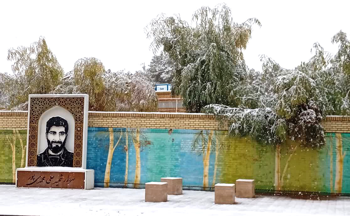 برف زمستانی رفسنجان (گزارش تصویری)