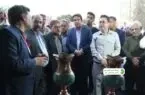 پسته، فراتر از یک جشن؛ روایتی از ظرفیت‌های رفسنجان